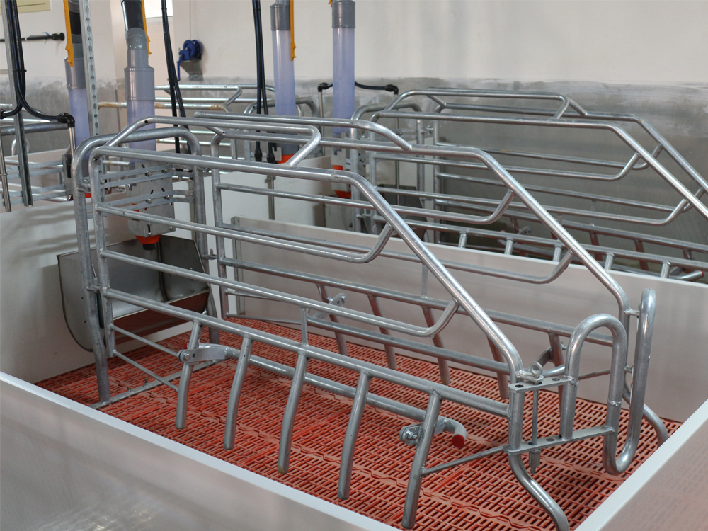FARROWING CRATE FOR SOWS Exafan Exafan