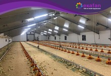 Equipamiento de reforma de granja en Lugo